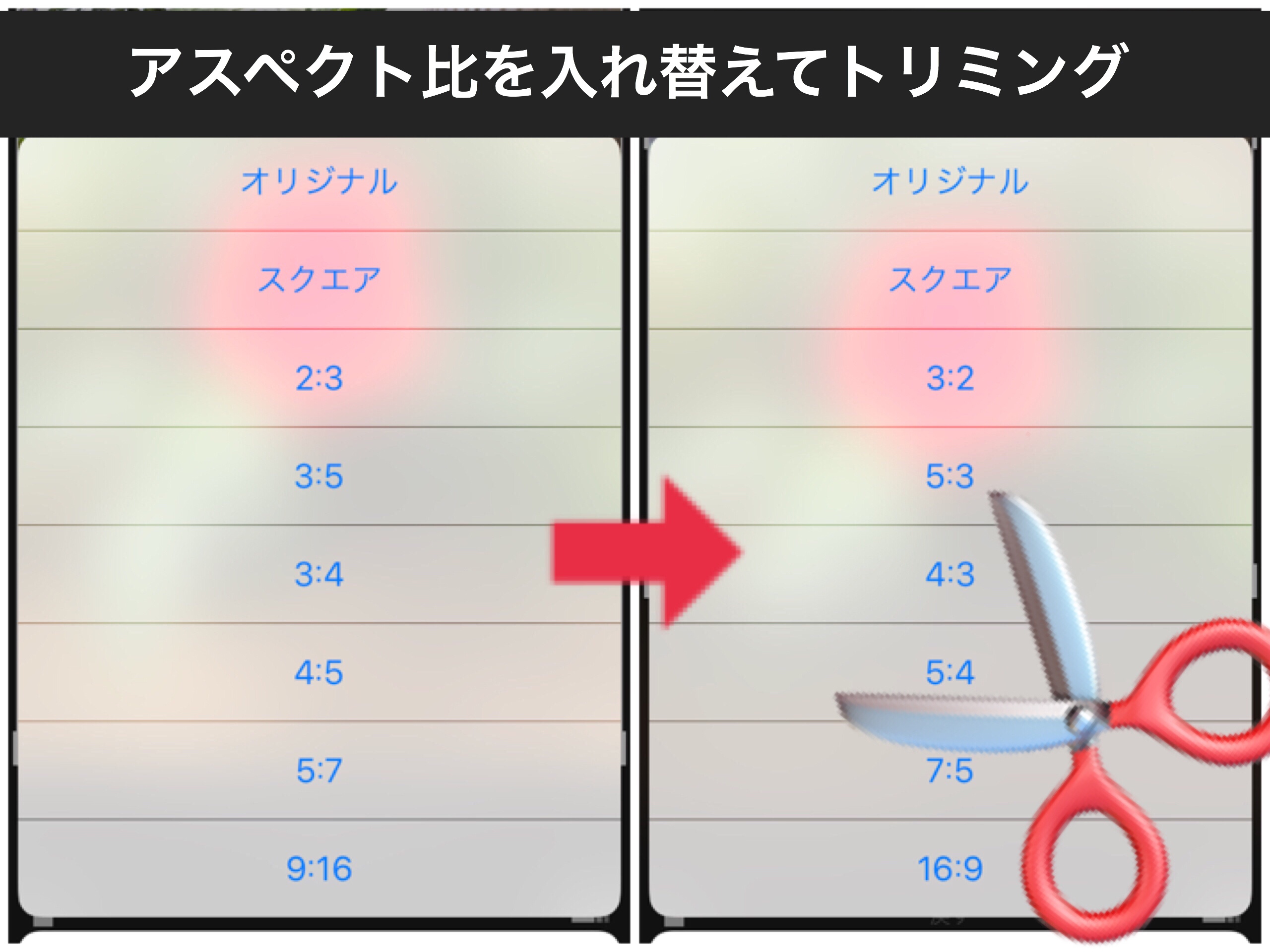 Iphone 写真 で アスペクト比を入れ替えて縦長を横長にor横長を縦長に切り抜く方法 水レンズ